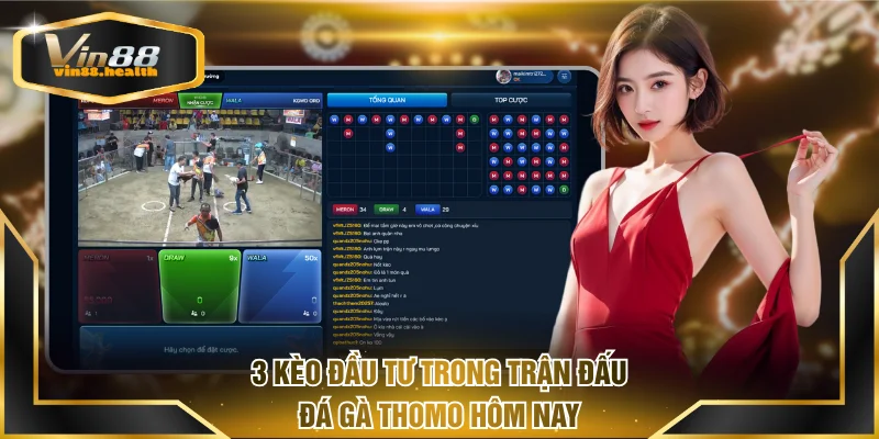 3 kèo đầu tư trong trận đấu đá gà Thomo hôm nay