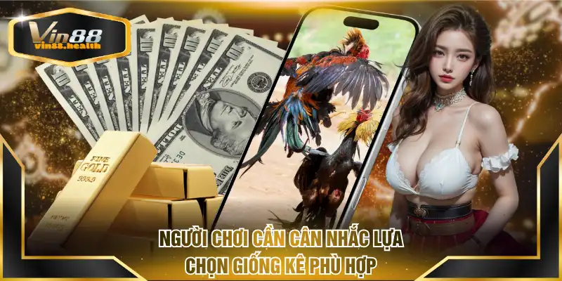 Người chơi cần cân nhắc lựa chọn giống kê phù hợp