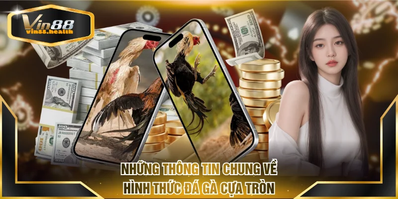 Những thông tin chung về hình thức đá gà cựa tròn